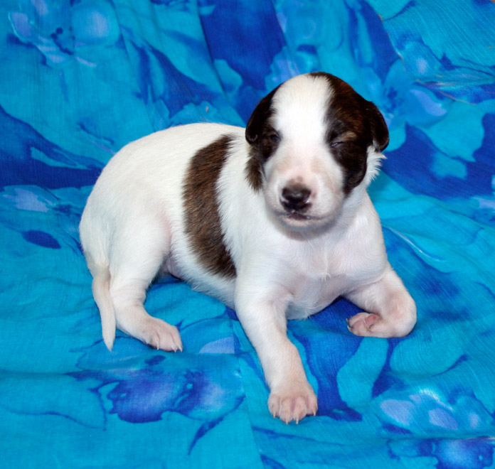 Surf Spots - Boy 1 Front